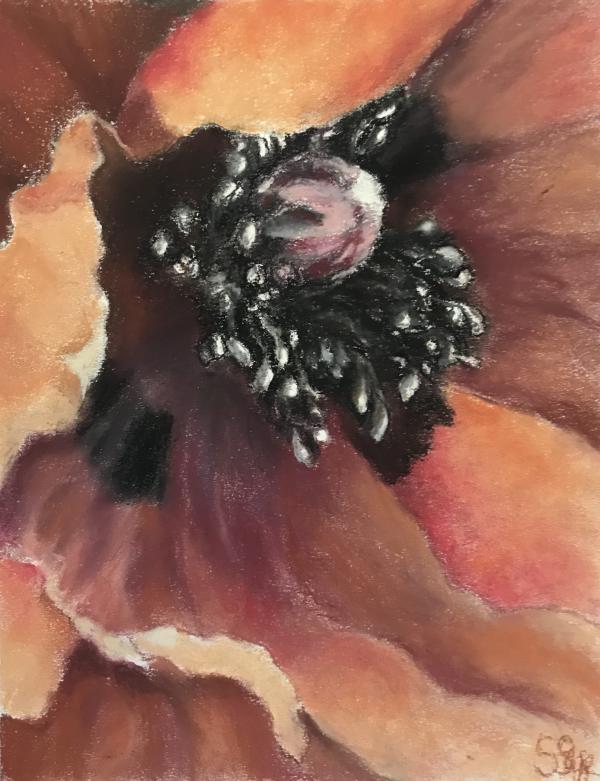 "Grand Opening" Pastel on Paper