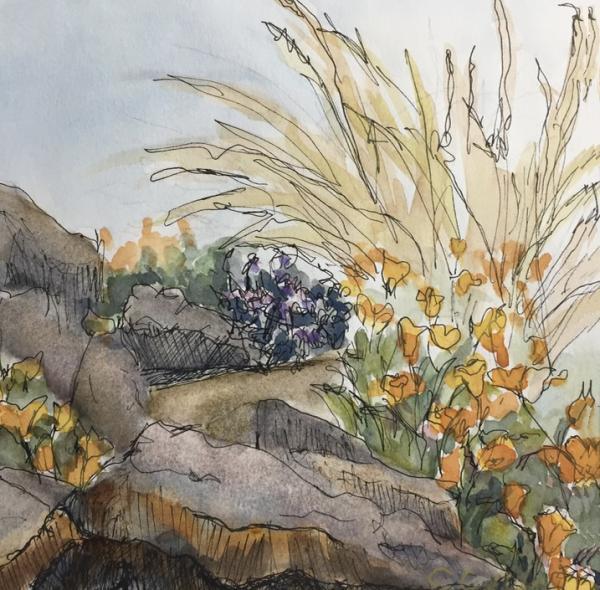 "Tilden Garden Path" Ink and Watercolor