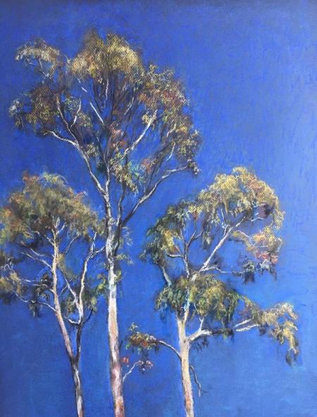 "Tilden Hillside" Pastel on Paper