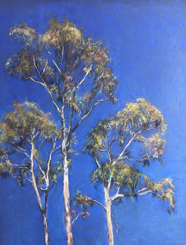 "Tilden Hillside" Pastel on Paper